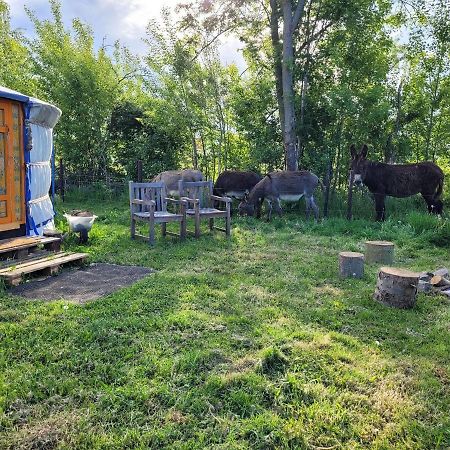 Отель Slapen Tussen De Ezels In De Yurt Арсхот Экстерьер фото