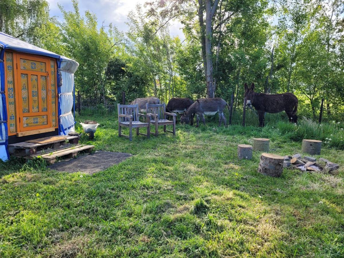 Отель Slapen Tussen De Ezels In De Yurt Арсхот Экстерьер фото